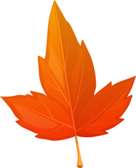 Autumn maple leaf cartoon isolated vector icon