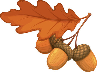 Autumn oak acorn with dry leaves vector icon, sign