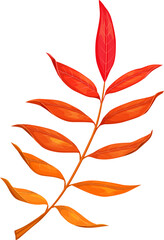 Autumn rowan leaf vector icon, cartoon foliage