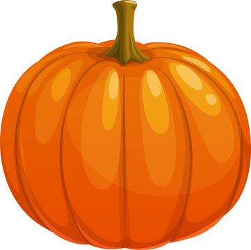Pumpkin isolated vector icon on white background