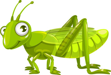 Cartoon grasshopper, locust insect vector icon