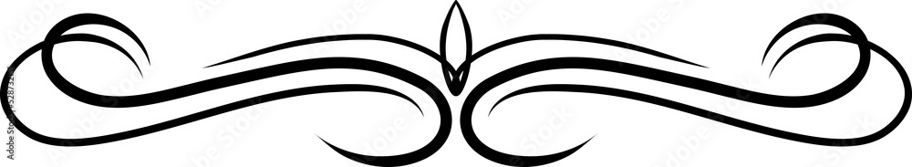 Poster text divider with curves and waves decoration line