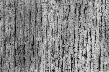 Old gray wooden surface, detailed background texture