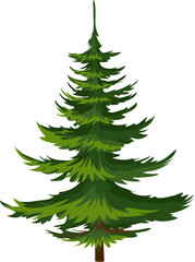 Green spruce, pine fir tree, Christmas symbol icon