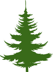Evergreen pine tree isolated green silhouette icon