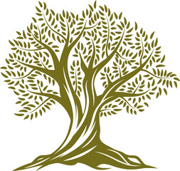 Tree trunk, green crown with olive leaves isolated