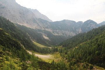 Obraz premium Soca river valley, Trenta, Slovenia 
