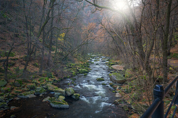Bodetal in dem der Fluss Bode in einer Schlucht durch den herbstlichen Wald fliesst mit Sonne