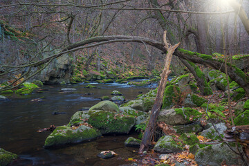 Bodetal in dem der Fluss Bode in einer Schlucht durch den herbstlichen Wald fliesst