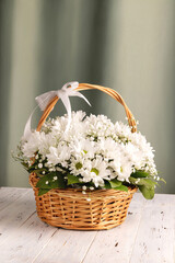 Wicker basket of white chamomile chrysanthemums on wooden background against green textile curtains. Gift flowers basket for the holiday