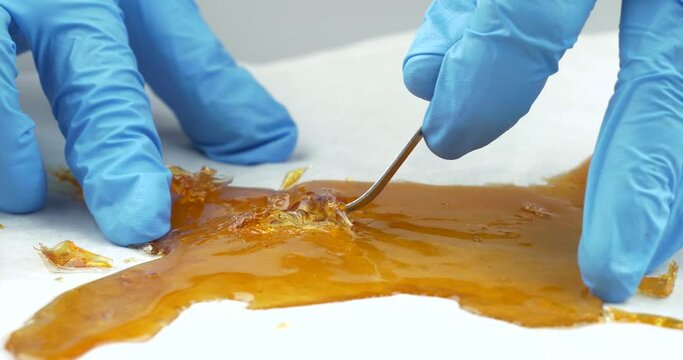dabbing stick and golden resin wax ,medical cannabis extract in hand with medical gloves High quality 4k footage