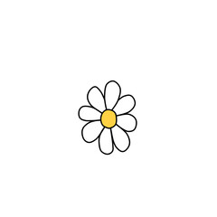 Vector image of a chamomile flower. posters about herbs and nature.