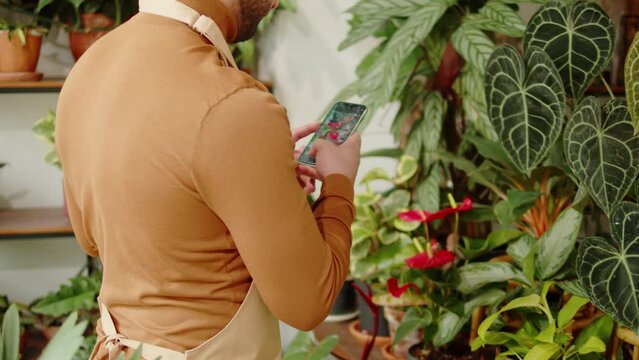 Florist taking photo of flowers. Gardener checking blooming houseplant, flower shop. Arabian man botanist greenhouse worker using phone. Anthurium, succulents, ficus leaves. 