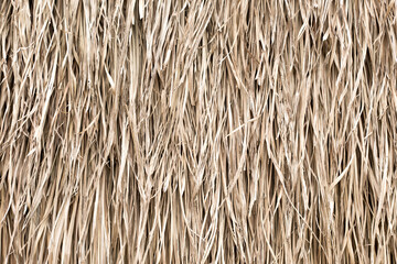 Straw texture. Tropic roof summer background.