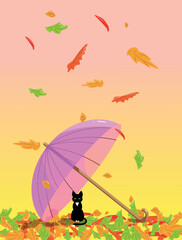 Obraz premium a cat sits under an umbrella and falling leaves