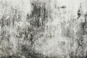 Mold buildup on the wall texture