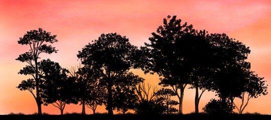 silhouette of a tree,forest on sunset background  ,vanilla sky 