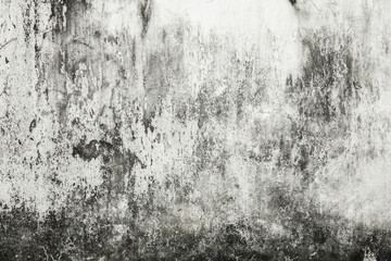 Mold buildup on the wall texture