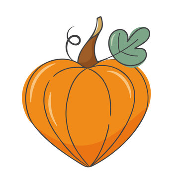 Heart shaped pumpkin. Halloween pictures. Autumn vegetable. Vector image on a white background
