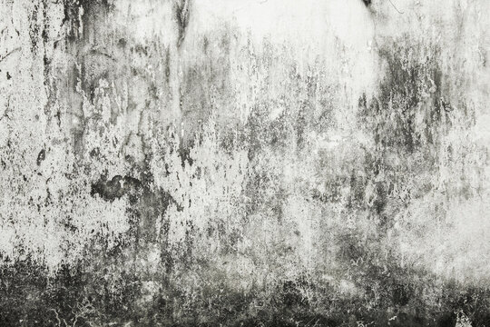 Mold buildup on the wall texture - Powered by Adobe