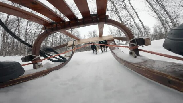 Dog sled action scene in slow motion. Camera mounted under the sled. Norway winter husky dog sledding. Husky dogs pulling a sled through a snow-covered winter wonderland-like landscape. 