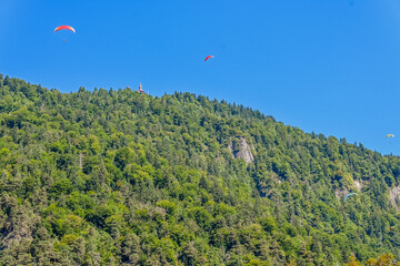 Interlaken, Harder Kulm, Thunersee, Beatenberg, Berner Oberland, Aussichtspunkt, Wanderweg, Alpen, Sommer,  Schweiz