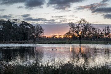 January sunrise over heron pond Bushy Park