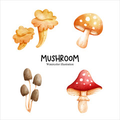 Watercolor mushroom, vegetables vector illustration - obrazy, fototapety, plakaty
