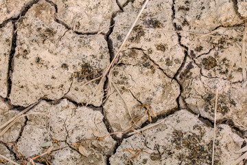 closeup cracks in dry ground. Cracked surface