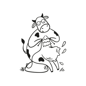 Funny cow illustration. Cartoon illustration on white backdrop.