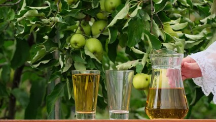 Apple juice on a wooden table in the garden, around it are apples. Farmer taking a jug and pour fresh juice into glass from the apple orchard. Pouring apple juice into a glass in a summer day outdoors