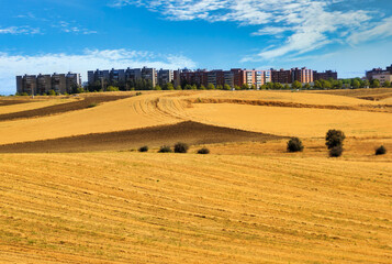 Campo de trigo reci&eacute;n cosechado con edificios de la ciudad y cielo con nubes de fondo.
