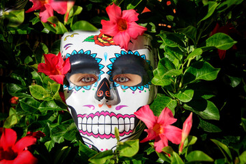 Máscara de calavera mexicana del Día de los Muertos con ojos humanos sobre fondo vegetal.