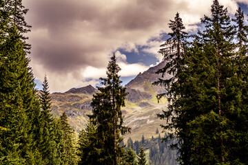 Landschaft / Silbertal