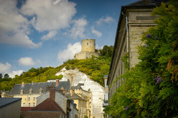 Fototapeta na wymiar View on the castle of La Roche Guyon