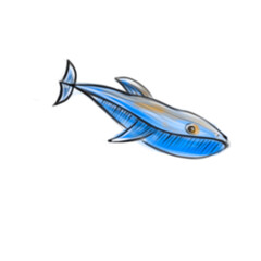 Vector hand drawn blue whale sketch