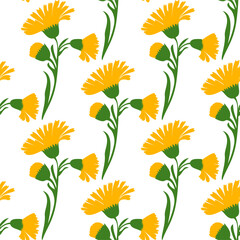 Fototapeta na wymiar Botanical plant flowers dandelions seamless pattern vector illustration. Daisy branch with yellow flower on white background. Graphic design for greeting, banner, holiday, celebration, fashion, cover