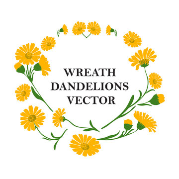 Floral wreath of plant dandelions isolated on white background. Botanical frame of branch yellow flowers and green leaves daisy vector illustration. Graphic design for greeting, holiday, celebration,