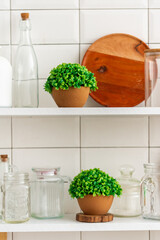 artificial plants in a bright kitchen