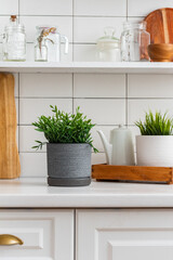 artificial plants in a bright kitchen