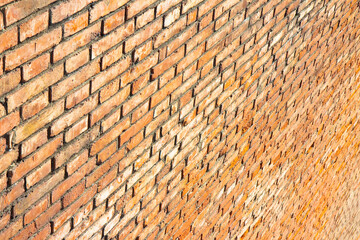 New italian brick wall background without plaster