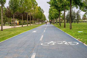 Fototapeta na wymiar Bike path in the park. A symbol of cycle and attention paths on the pavement