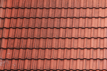 Long exposure small star neon lights texture. Modern art. Abstract star colorful neon light.