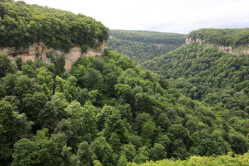 Fototapeta na wymiar View of Gorge Mishoko in summer in Adygea