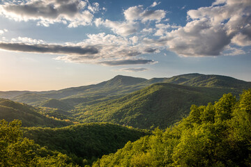 Beautiful evening in the mountains. Green trees. Sunset. Colorful landscape. High mountains. Clouds in the sky. Sunlight.