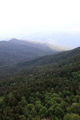 Fototapeta premium View of mountains from Lago-Naki plateau in summer