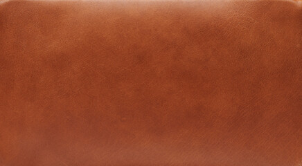 Blank brown leather background