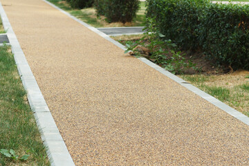 Obraz premium Small pebble road. Sidewalk pavement.