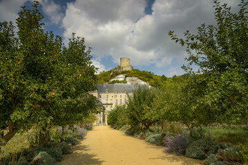 Obraz premium view on the castle of the Roche Guyon from the orchard