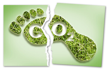Ripped photo of a Carbon Footprint concept image with CO2 text against footprint in grass shape -...